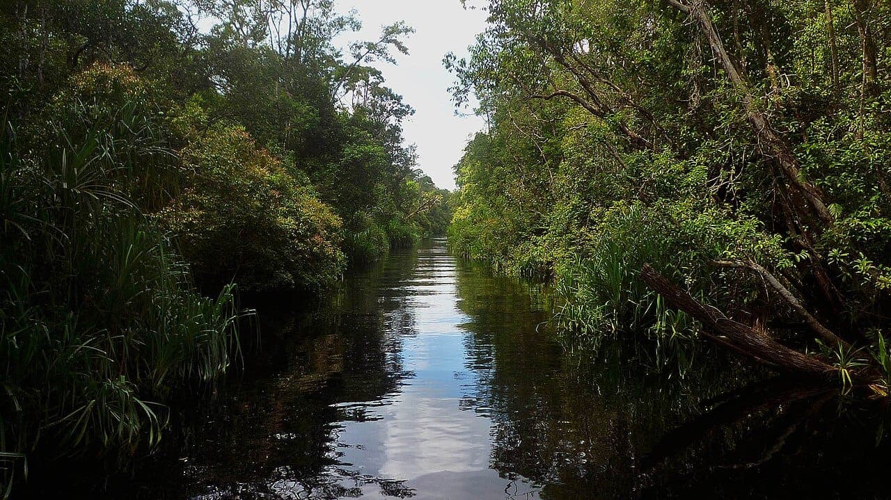 2 Days, 1 Night — River Adventure - photo 2