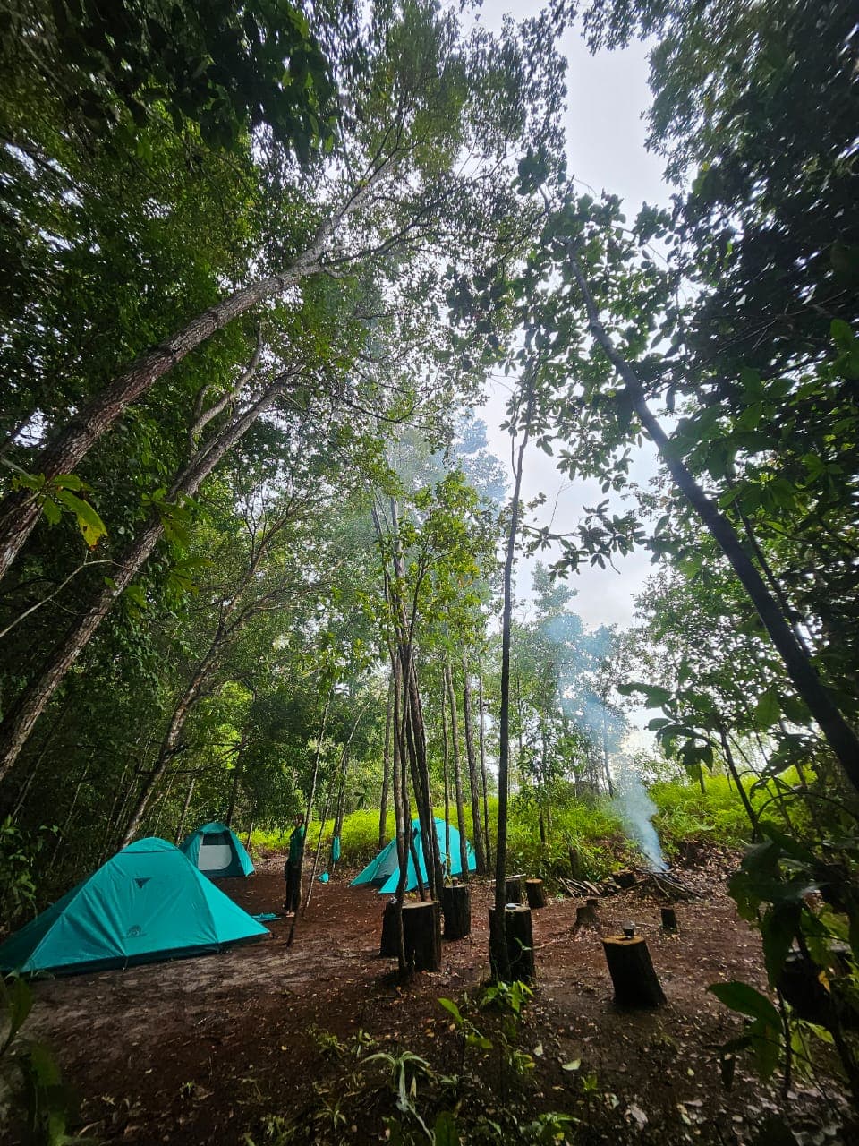 4 Days, 3 Nights — River & Jungle (incl. Camp Leakey) - photo 6